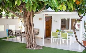 Apartamento Net By Family Homes